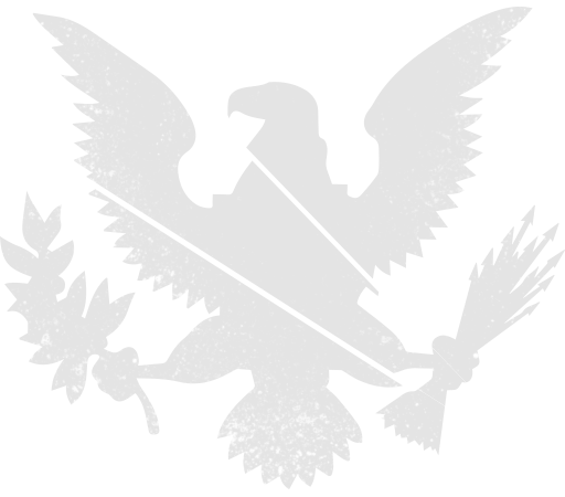The Divided States broken eagle